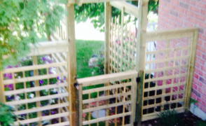 Fences #19